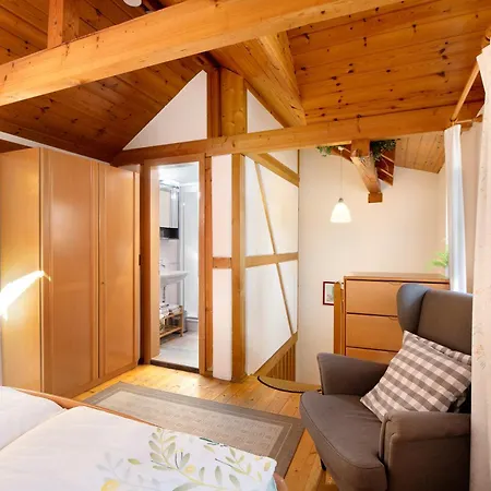 Apartment Romann *