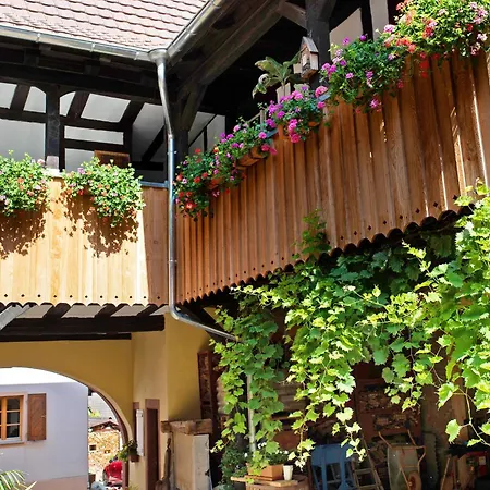 Romann Apartment Mullheim (Baden-Wurttemberg)