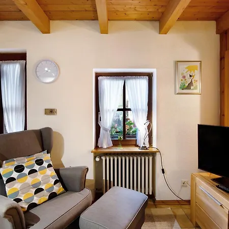 Apartment Romann *